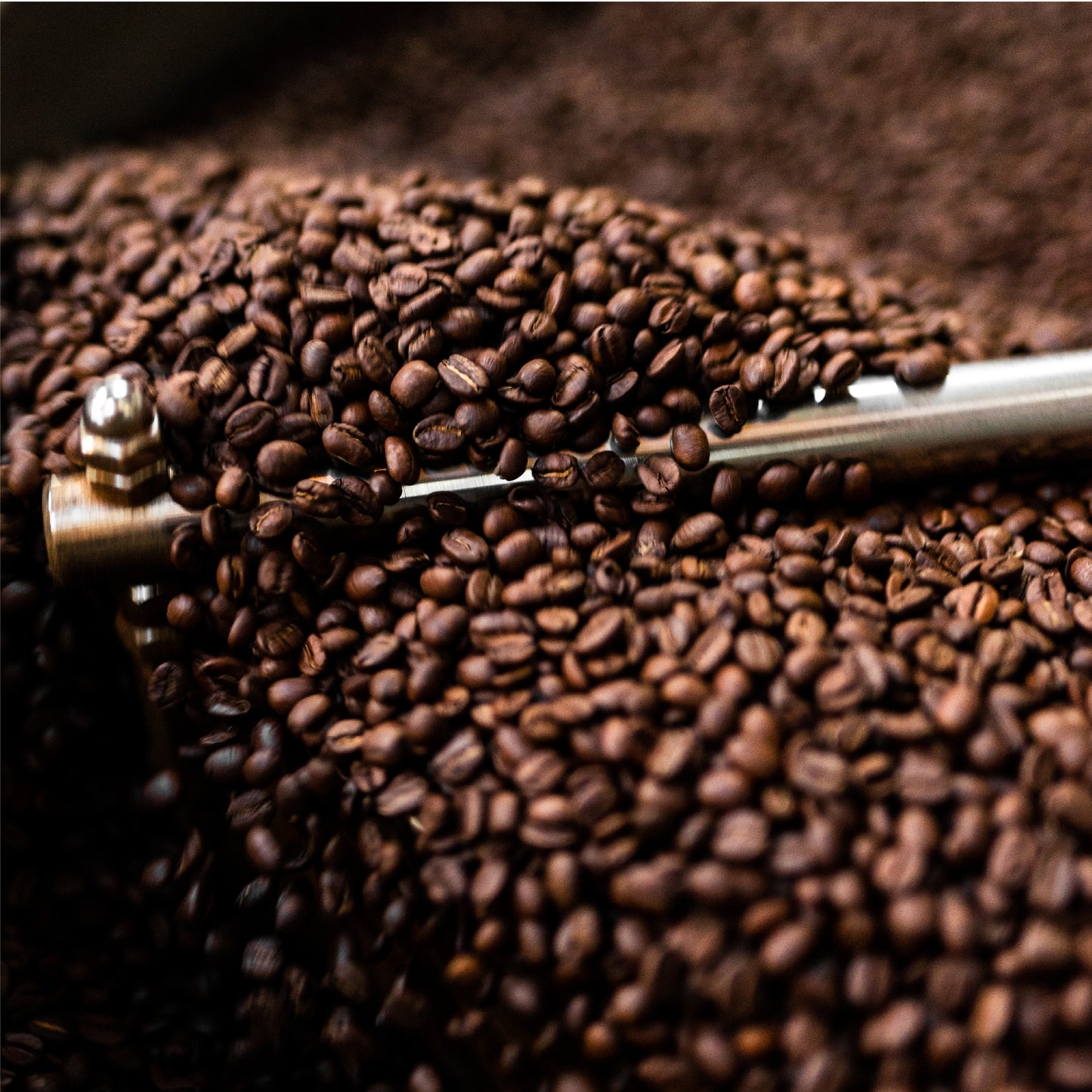 Batak — Arabica Coffee